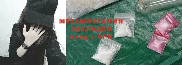 прущие грибы Волоколамск