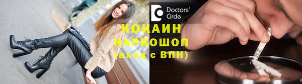 прущие грибы Волоколамск