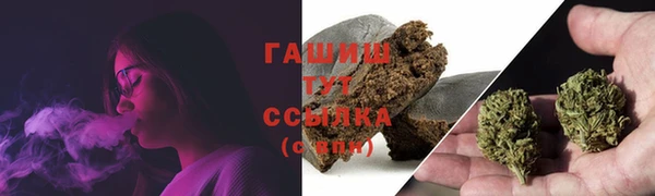 прущие грибы Волоколамск